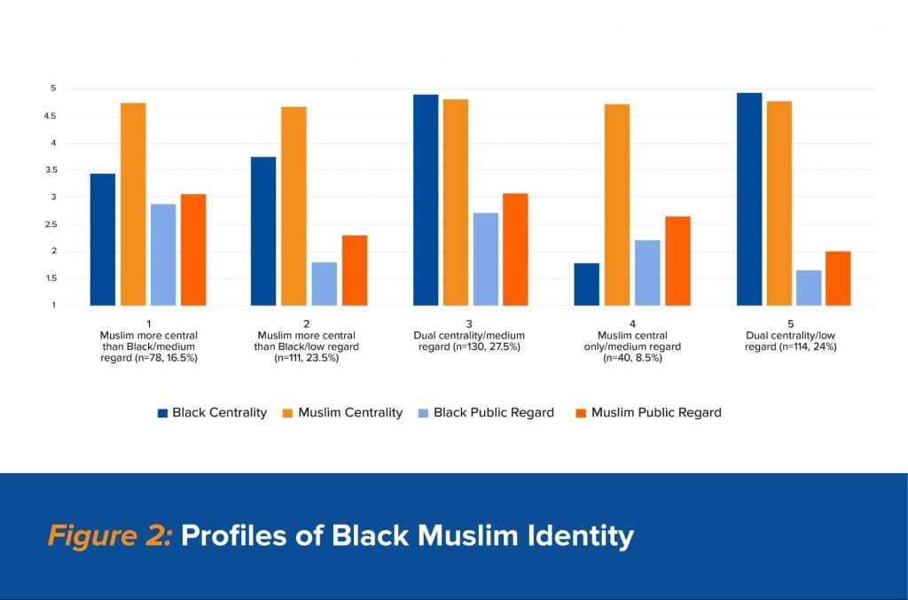 Figure 2: Profiles of Black Muslim identity